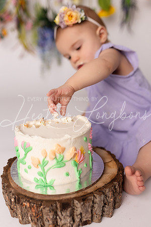 Ember cake smash-20
