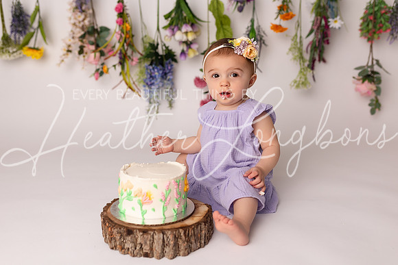 Ember cake smash-12