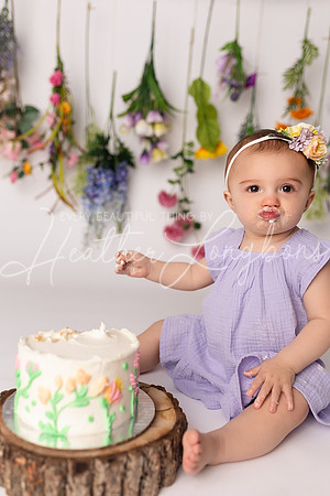 Ember cake smash-14