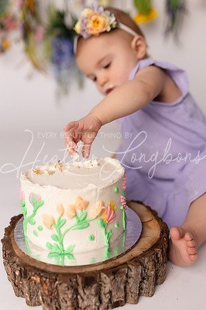 Ember cake smash-20