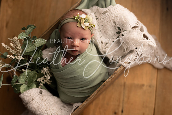 Gemma Speir Newborn-12