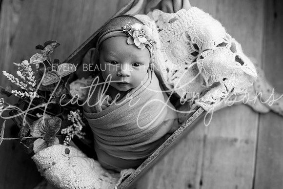 Gemma Speir Newborn-12BW