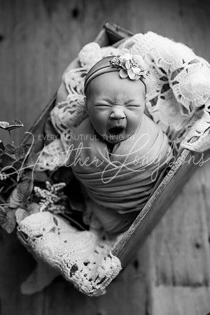 Gemma Speir Newborn-13BW