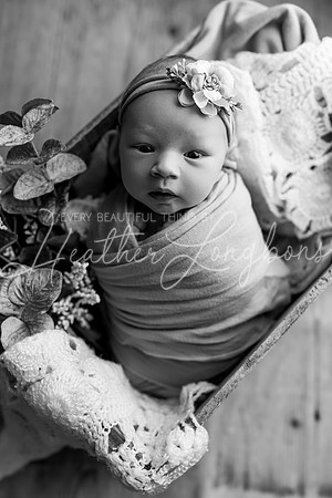Gemma Speir Newborn-27BW