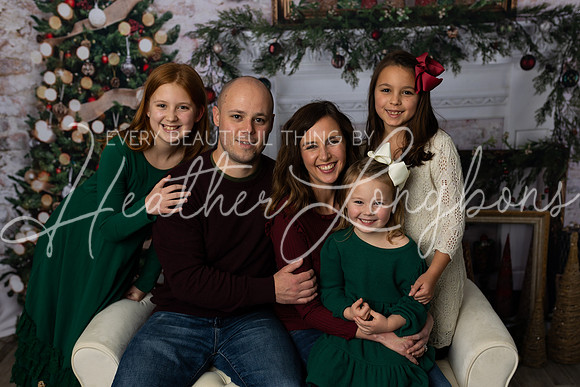 12 Christmas Minis Abells-4