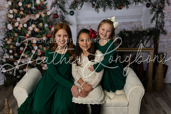 12 Christmas Minis Abells-5