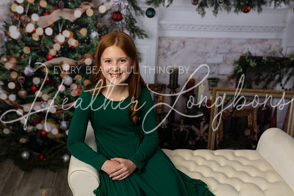 12 Christmas Minis Abells-8
