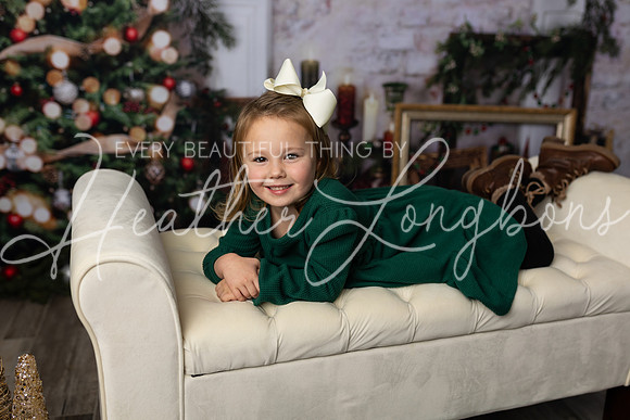 12 Christmas Minis Abells-11