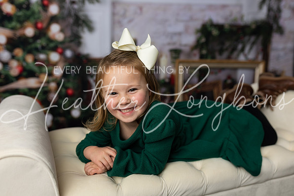 12 Christmas Minis Abells-12