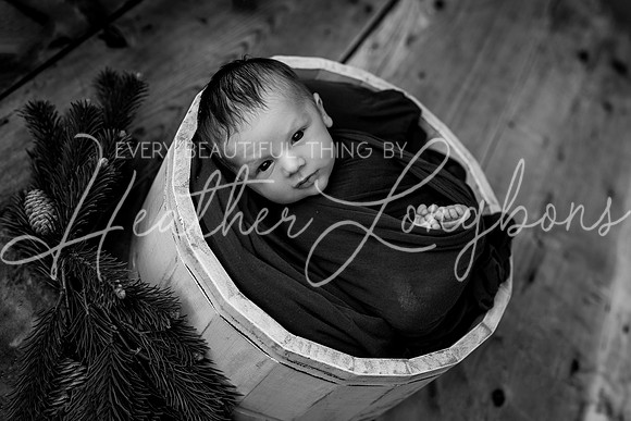 Ezra newborn-11BW
