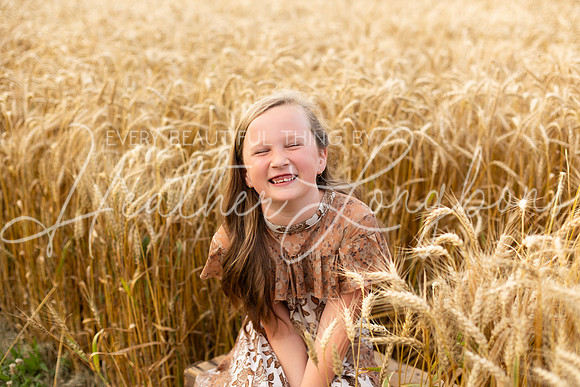 Wheat Field Bonds-39
