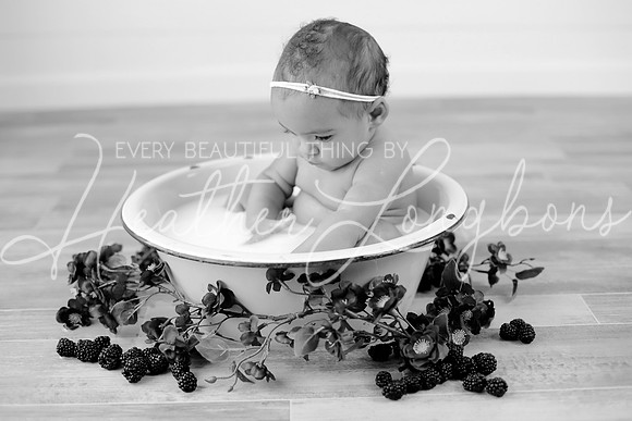 IMG_7461-bw