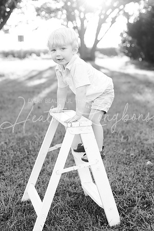 IMG_8812-bw