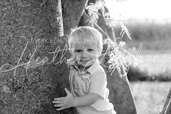 IMG_8906-bw