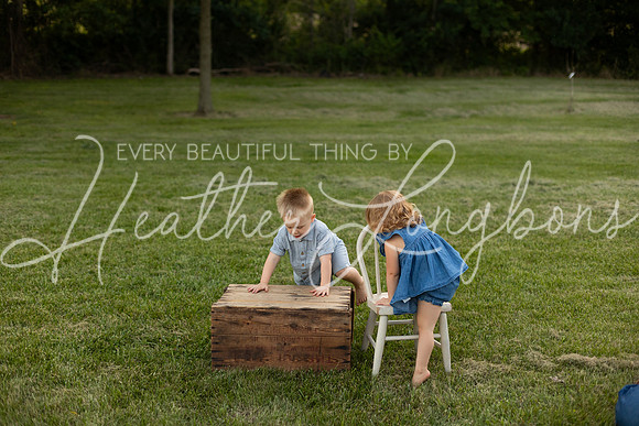Cochren Twins 2 years-127