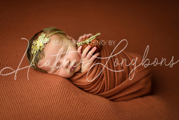 IMG_9639