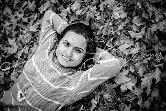 Haley-12BW