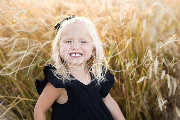Wheat field Speirs-14