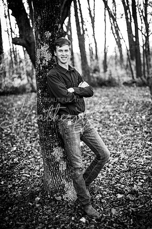 Blake-14BW