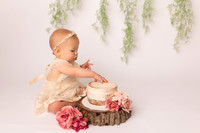 Finley Cake Smash-43