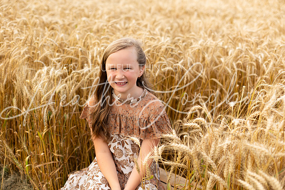 Wheat Field Bonds-38
