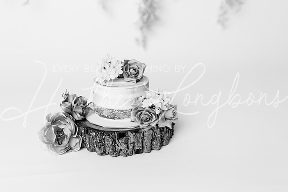Finley Cake Smash-25BW