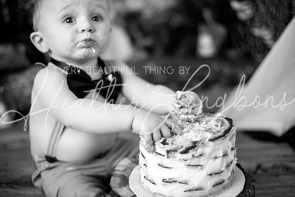 Layton-20BW