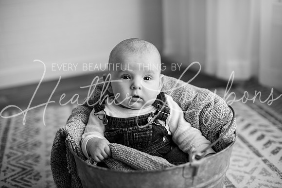 Jenson-14BW