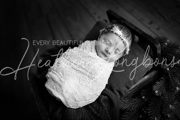 IMG_7496-Edit-BW