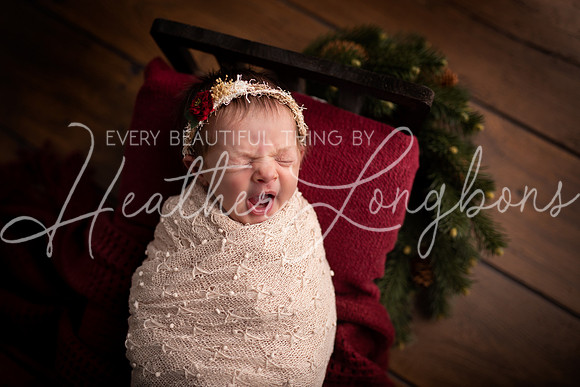 IMG_7498-Edit