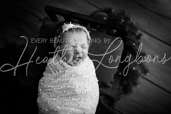 IMG_7498-Edit-BW