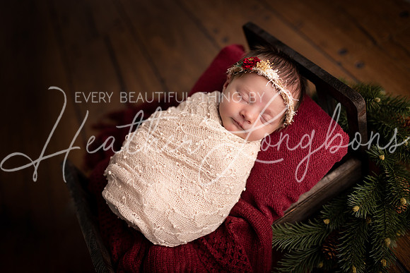 IMG_7496-Edit