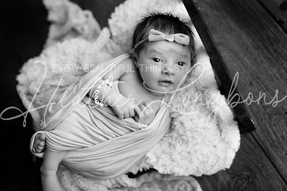 IMG_7521-Edit-BW
