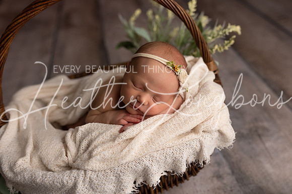 Collins Ward Newborn-3