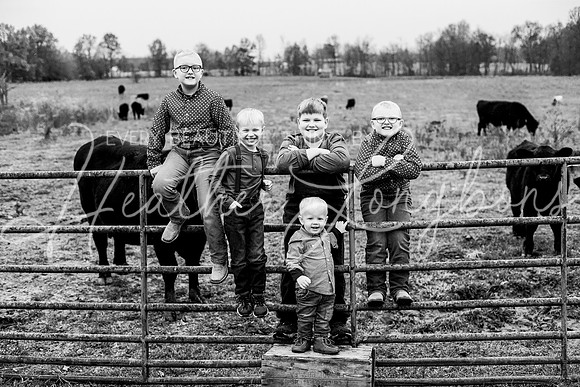Bell Extended family-10BW
