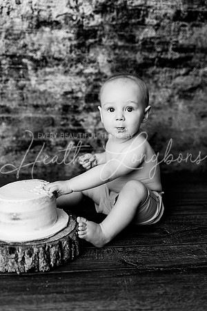 Dane Cake Smash-11BW
