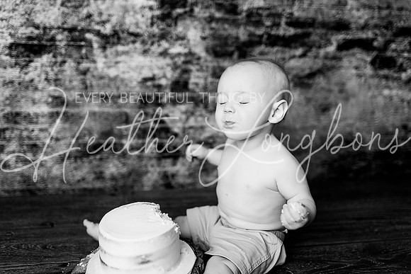 Dane Cake Smash-13BW