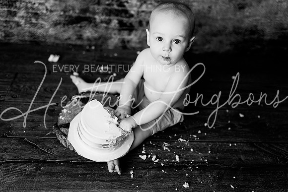 Dane Cake Smash-14BW