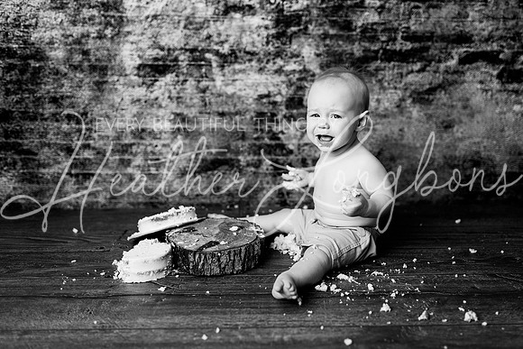 Dane Cake Smash-15BW