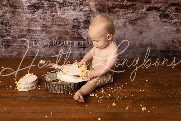Dane Cake Smash-21