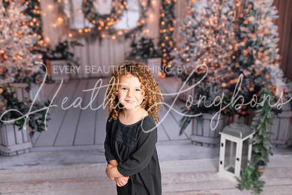 Christmas Roosevelt-9