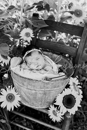 Emery Newborn-99BW