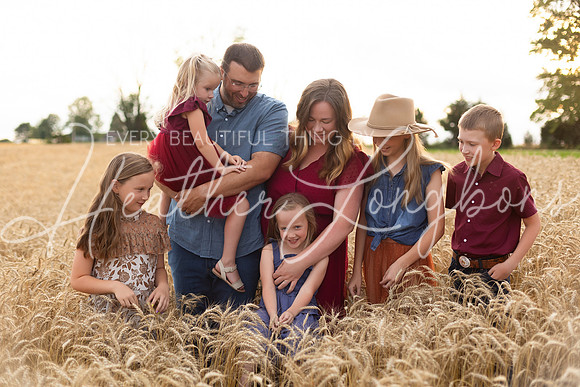 Wheat Field Bonds-73