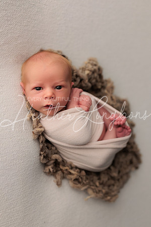 Colsen Newborn-2