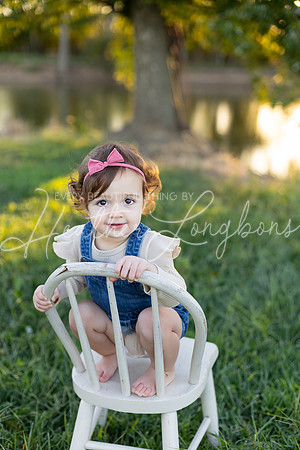 Sunset Wolfe family-17