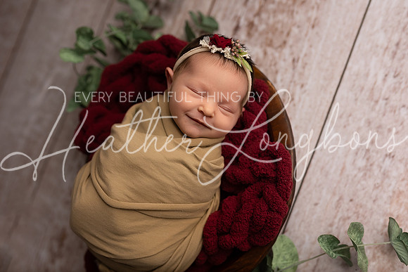 2024 Christmas Loudermilk-8