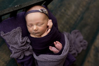 Collins Ward Newborn-14