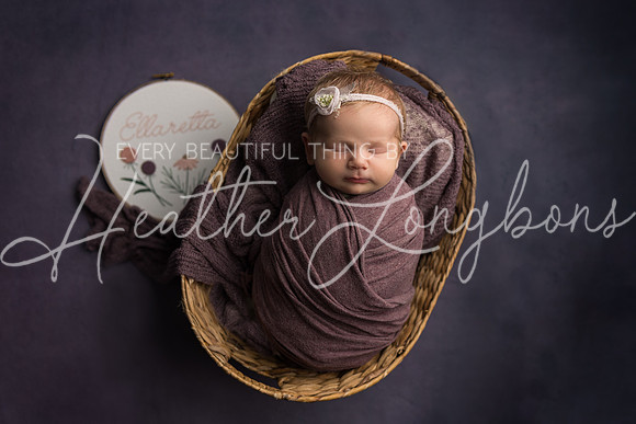 Ellaretta newborn-26