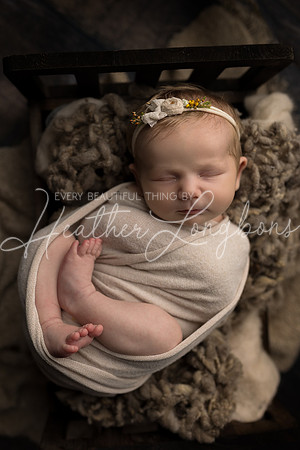 Ellaretta newborn-38
