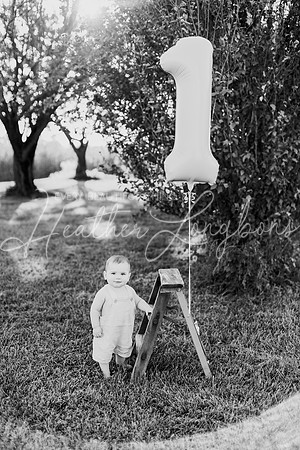 Brooks One Year-3BW